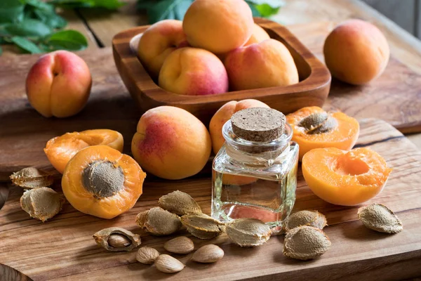Пляшка олії ядра абрикосів з ядрами абрикосів та абрикосами — стокове фото