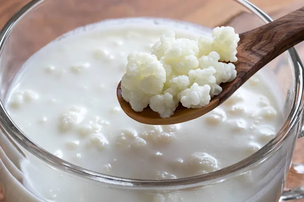 Kefir taneleri bir tahta kaşık süt kefir bir kavanoz yukarıda üzerinde