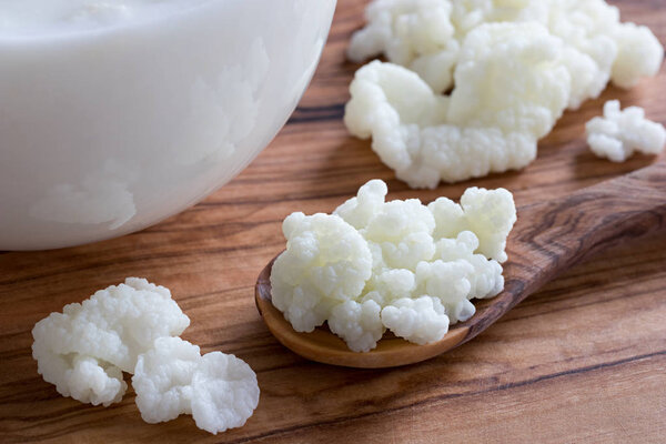 Kefir grains on a wooden spoon next to a jar of milk