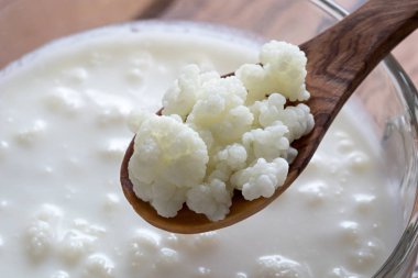 Kefir taneleri bir tahta kaşık kavanoz kefir yukarıda üzerinde