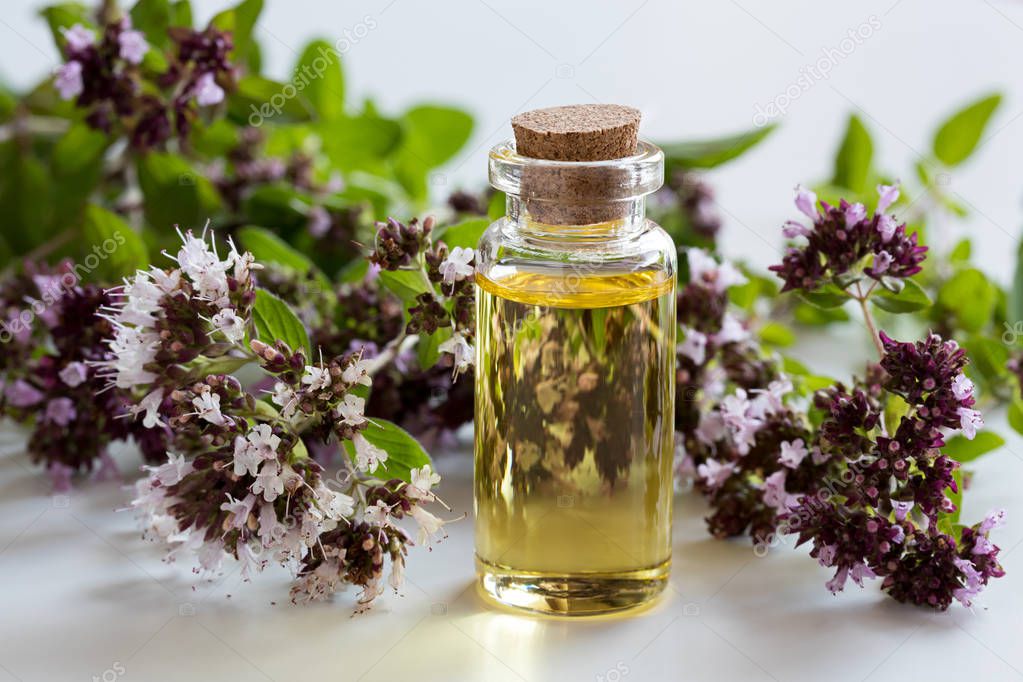 A bottle of oregano essential oil with blooming oregano