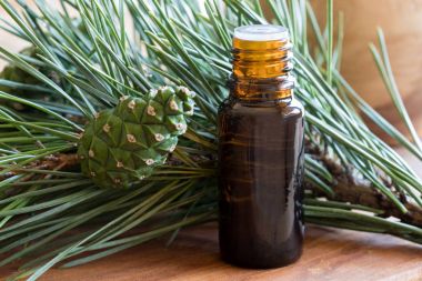A bottle of pine essential oil with pine twigs clipart