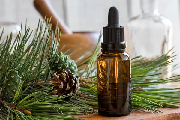 A bottle of pine essential oil with pine twigs — Stock Photo, Image