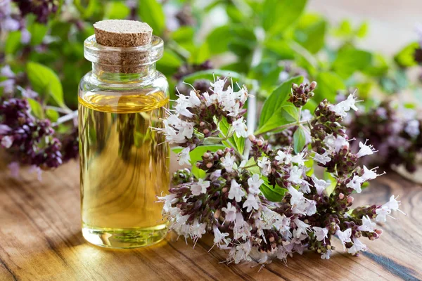 Oregano essential oil in a bottle on a wooden background