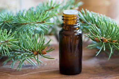Ladin uçucu yağı çam çırpı ile bir şişe