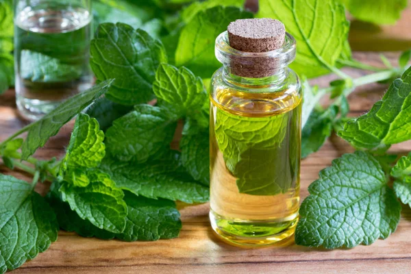A bottle of melissa essential oil with fresh melissa leaves — Stock Photo, Image