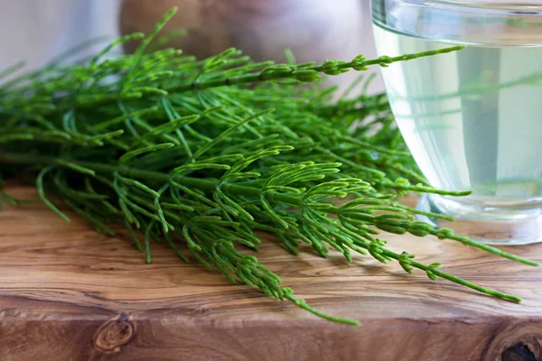 Fresh horsetail twigs on a wooden table — Stock Photo, Image