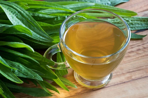 Plantain tea with fresh plantain leaves in the background — Stock Photo, Image
