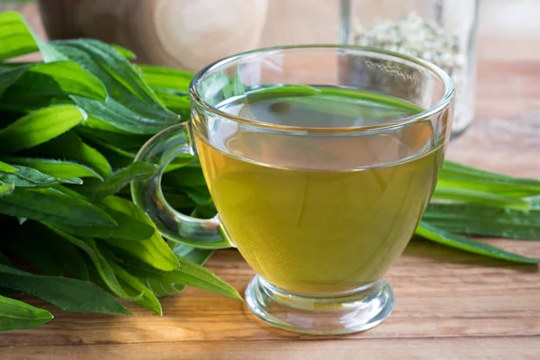 Plantain τσάι με φρέσκα plantain φύλλα στο παρασκήνιο — Φωτογραφία Αρχείου