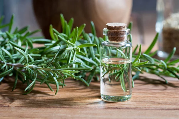 Biberiye esansiyel yağı taze biberiye dallar ile bir şişe