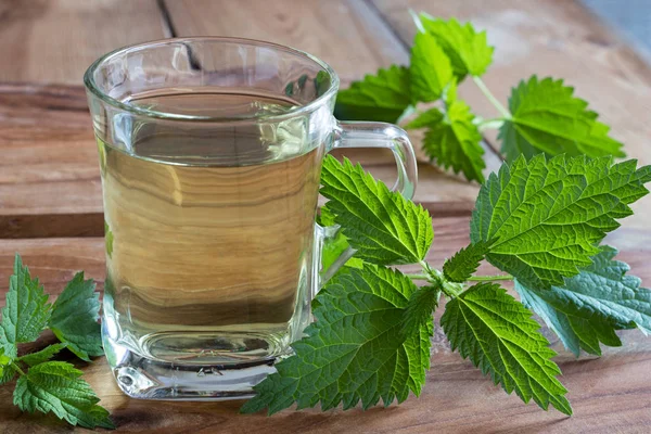 Taze ısırgan otu çay ile