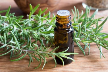 Biberiye esansiyel yağı biberiye dallar ile bir şişe