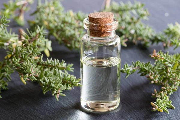 Een fles van essentiële tijmolie met takjes verse tijm — Stockfoto