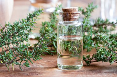 Bir şişe kekik esans dal taze kekik ile