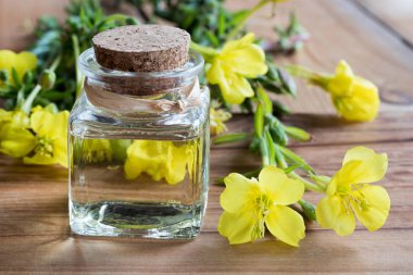 Evening primrose yağı akşam çuha çiçeği çiçek ile bir şişe