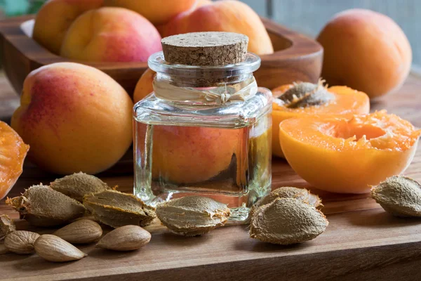 Бутылка абрикосового масла с абрикосами и абрикосовыми ядрами — стоковое фото