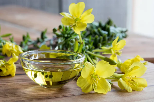 Evening primrose oil in a glass bowl — Stock Photo, Image