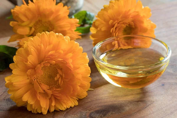 Calendula æterisk olie i en glasskål med calendula blomster - Stock-foto