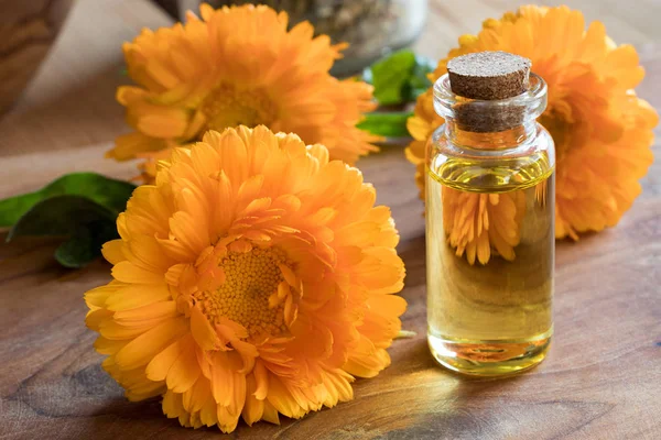 Una botella de aceite esencial de caléndula con flores de caléndula — Foto de Stock