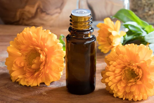 A bottle of calendula essential oil with fresh calendula — Stock Photo, Image