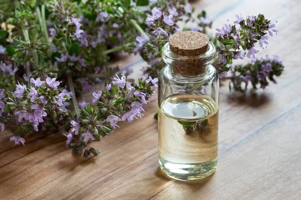 Een fles van thymus serpyllum (Breckland tijm) etherische olie — Stockfoto