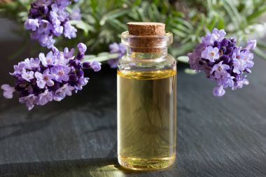 Lavanta esansiyel yağı koyu bir backgro tarihinde şeffaf şişe