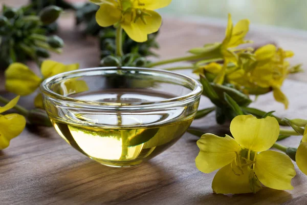 Evening primrose oil in a glass bowl on a wooden table — Stock Photo, Image