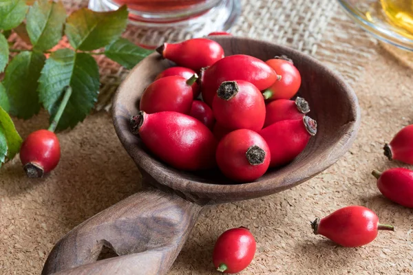 Rosa mosqueta en una cuchara de madera — Foto de Stock