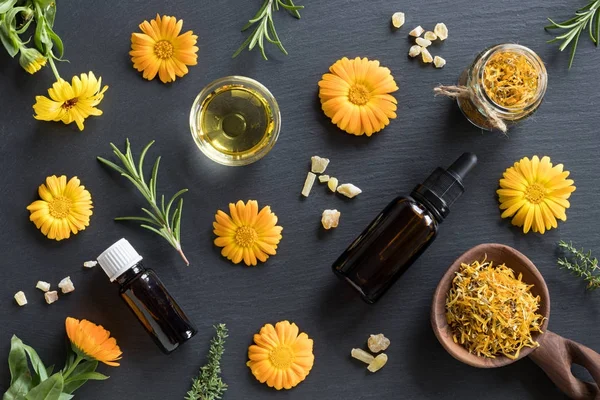 Esansiyel yağlar ve otlar karanlık bir arka plan üzerinde seçim