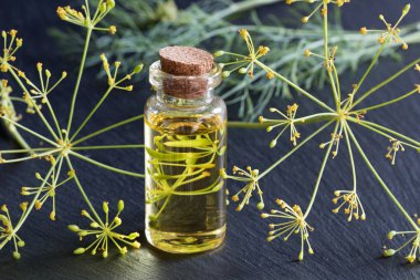 Dereotu tohumu yağı karanlık bir arka plan üzerine bir şişe