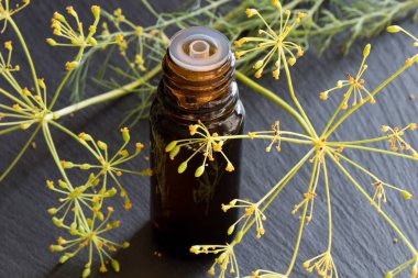 Dereotu tohumu yağı karanlık bir arka plan üzerine bir şişe