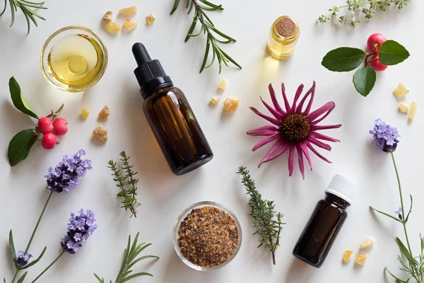 Selection of essential oils and herbs on a white background — Stock Photo, Image