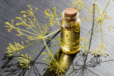 Dereotu tohumu yağı karanlık bir arka plan üzerinde şeffaf şişede