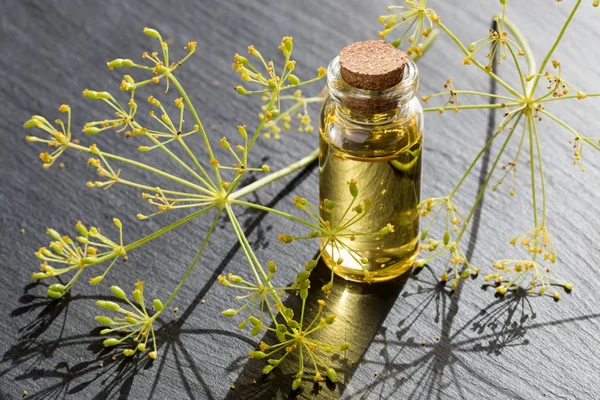 Dereotu tohumu yağı karanlık bir arka plan üzerinde şeffaf şişede