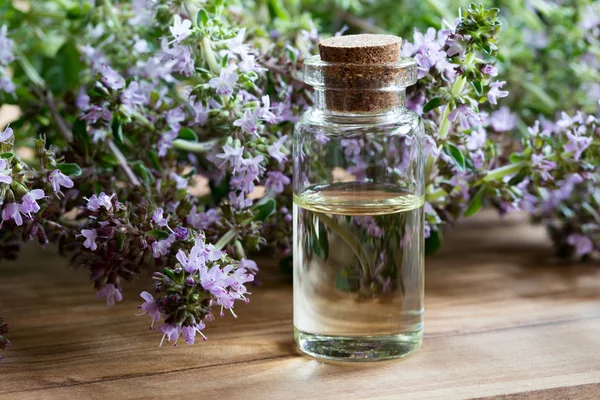 Een fles van thymus serpyllum (Breckland tijm) etherische olie — Stockfoto