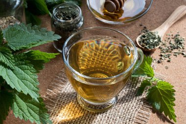 Isırgan otu çay taze ve kuru nettles ile