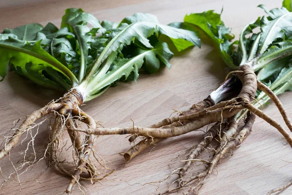 Dandelion roots with leaves on a wooden background — Stock Photo, Image