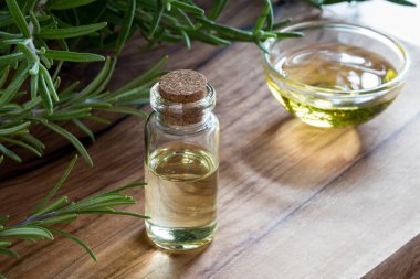 Biberiye esansiyel yağı taze biberiye dallar ile bir şişe