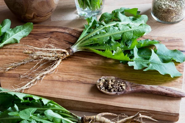 Whole dandelion plant with root on a wooden cutting board — Stock Photo, Image
