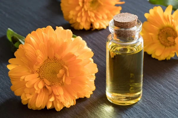 Calendula esans karanlık bir arka plan üzerine bir şişe