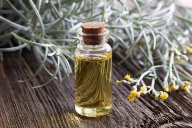 Helichrysum önemli petrol çiçek açan helichrysum ile bir şişe 