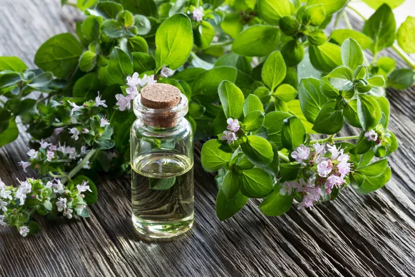 A bottle of oregano essential oil with blooming oregano twigs — Stock Photo, Image