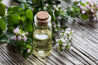 Kekik esans beyaz boyalı ahşap üzerine bir şişe