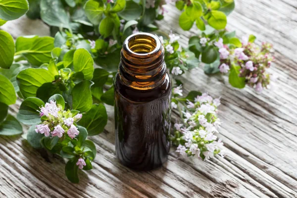 Een fles van oregano essentiële olie met bloeiende oregano twijgen — Stockfoto