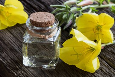 A bottle of evening primrose oil with blooming evening primrose clipart