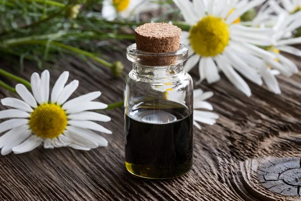 Een fles van kamille etherische olie met kamille bloemen — Stockfoto