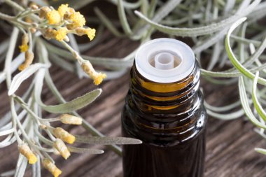 Helichrysum önemli petrol çiçek açan helichr ile karanlık bir şişe