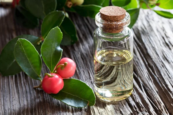 Una botella de aceite esencial de verdor sobre un fondo de madera — Foto de Stock