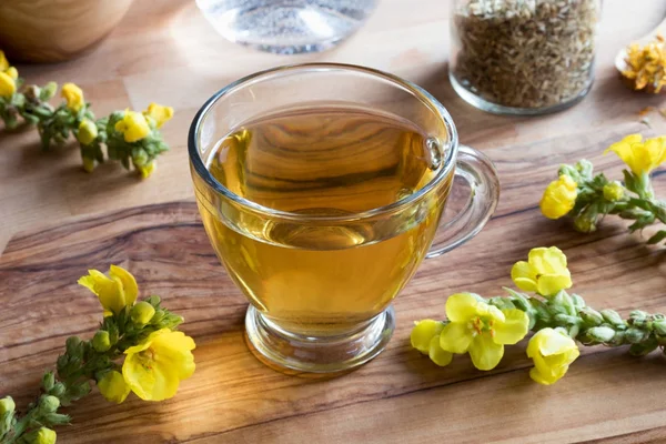 一杯毛蕊茶, 有毛蕊花的背景 — 图库照片