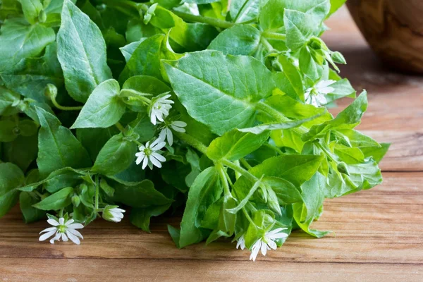 Ahşap arka plan üzerinde taze chickweed bitki — Stok fotoğraf